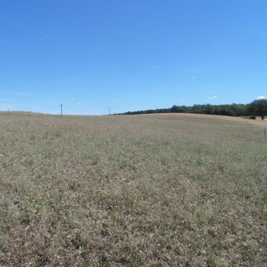  CONSEIL IMMOBILIER FLEURANCE : Terrain | FLEURANCE (32500) | 0 m2 | 38 000 € 
