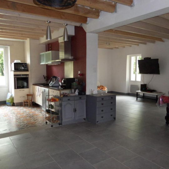  CONSEIL IMMOBILIER FLEURANCE : Domaines / Propriétés | FLEURANCE (32500) | 159 m2 | 242 000 € 