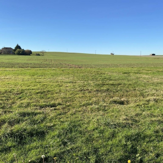  CONSEIL IMMOBILIER FLEURANCE : Terrain | MONTESTRUC-SUR-GERS (32390) | 0 m2 | 39 000 € 