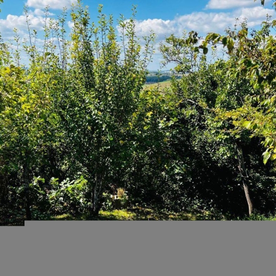  CONSEIL IMMOBILIER FLEURANCE : Maison / Villa | FLEURANCE (32500) | 130 m2 | 205 000 € 