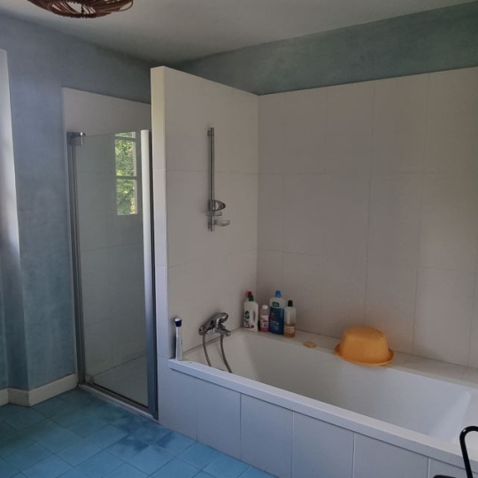  CONSEIL IMMOBILIER FLEURANCE : Domaines / Propriétés | LECTOURE (32700) | 233 m2 | 595 000 € 