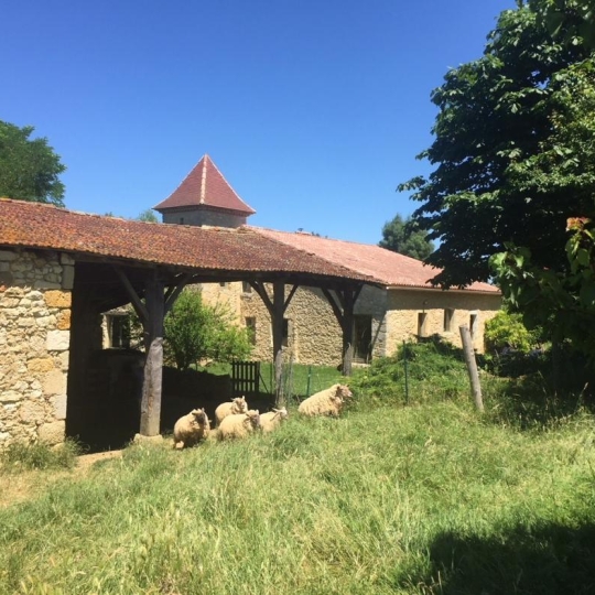  CONSEIL IMMOBILIER FLEURANCE : Maison / Villa | CASTERA-VERDUZAN (32410) | 260 m2 | 545 000 € 