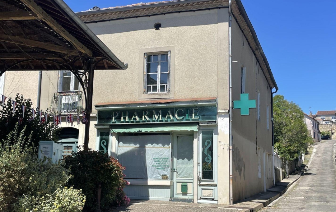 CONSEIL IMMOBILIER FLEURANCE : Maison / Villa | SAINT-PUY (32310) | 193 m2 | 62 500 € 