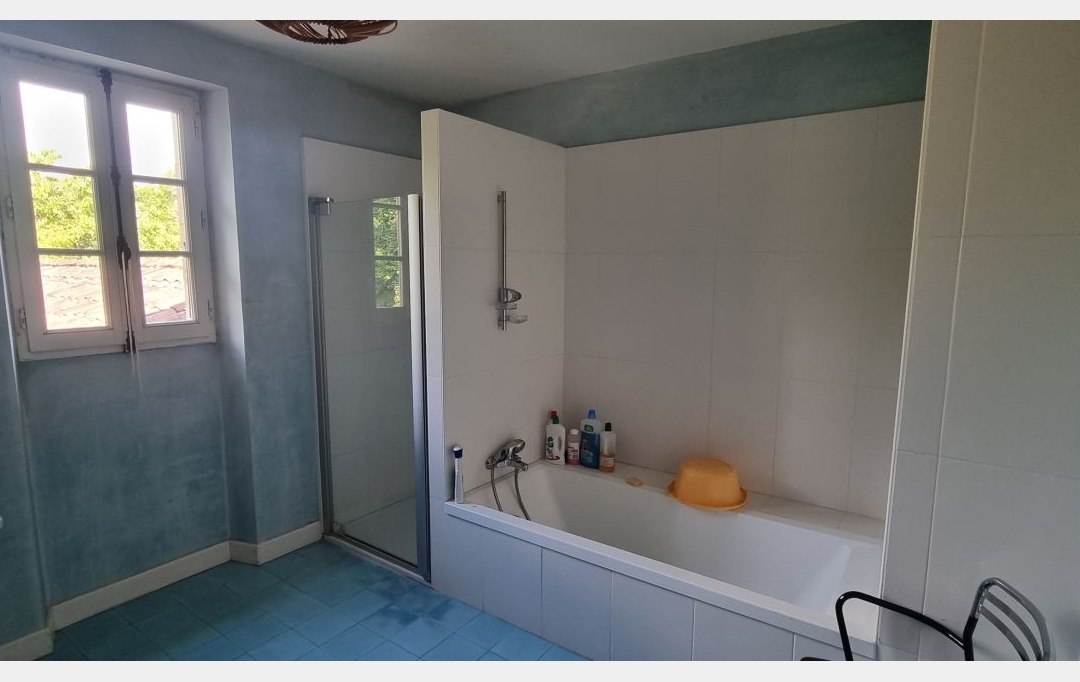 CONSEIL IMMOBILIER FLEURANCE : Domaines / Propriétés | LECTOURE (32700) | 233 m2 | 595 000 € 