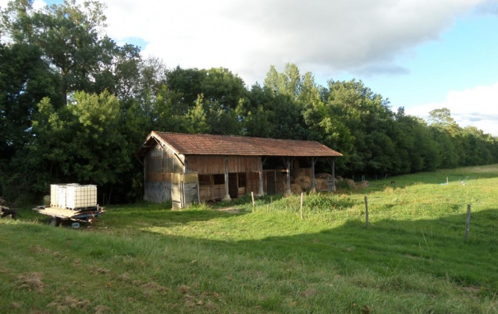 CONSEIL IMMOBILIER FLEURANCE : Domaines / Propriétés | FLEURANCE (32500) | 159 m2 | 242 000 € 