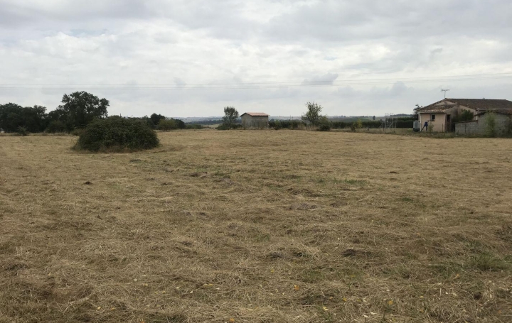 CONSEIL IMMOBILIER FLEURANCE : Terrain | MONTESTRUC-SUR-GERS (32390) | 0 m2 | 55 000 € 