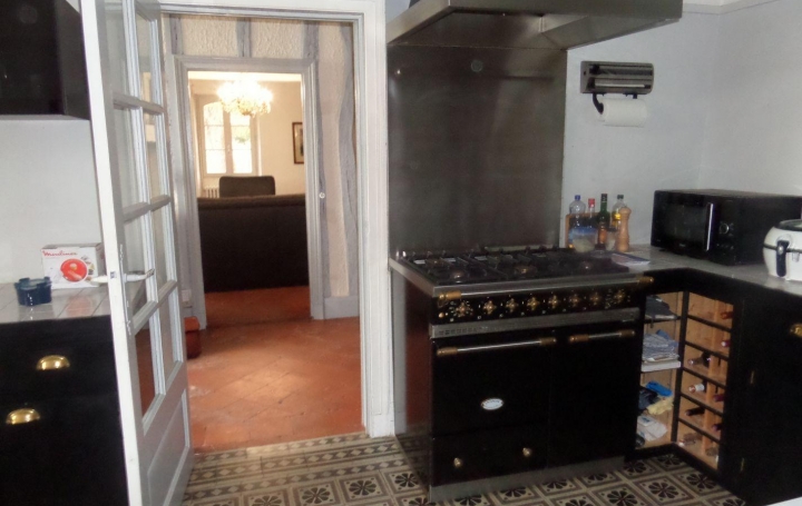 CONSEIL IMMOBILIER FLEURANCE : Domaines / Propriétés | FLEURANCE (32500) | 290 m2 | 575 000 € 