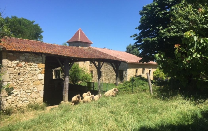 CONSEIL IMMOBILIER FLEURANCE : Maison / Villa | CASTERA-VERDUZAN (32410) | 260 m2 | 545 000 € 